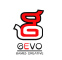 Gevo Entertainment Pte. Ltd.